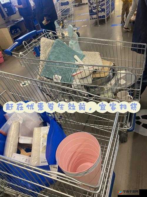 小扫货水能么多公交车：是潮流还是跟风？