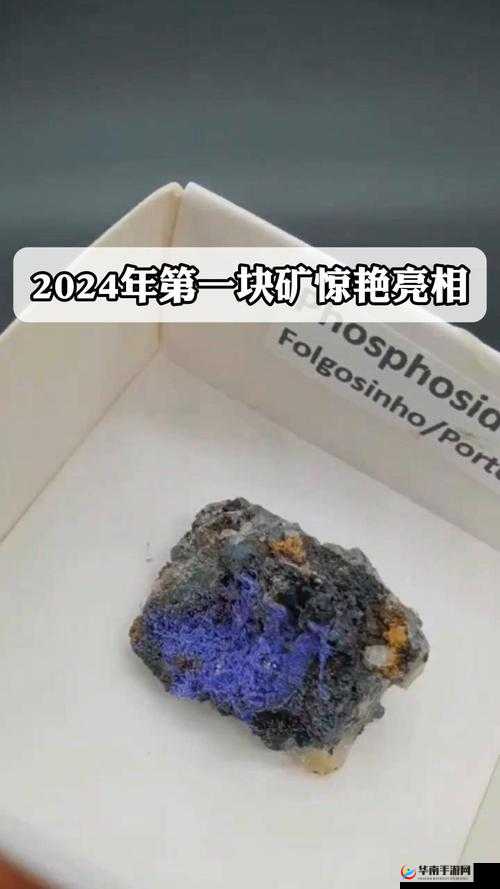 你猜国产矿转码专一 2024 有什么新花样：深度解析