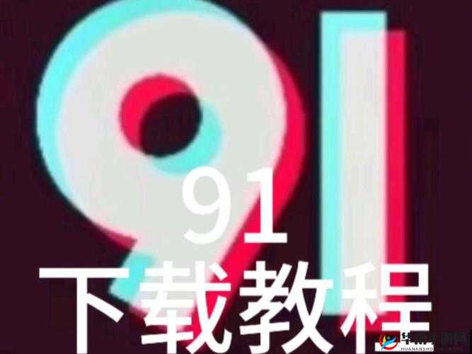 九一下载教程：详细步骤与注意事项