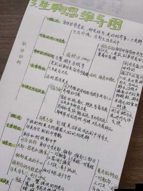 超级肉禽系统情节分析：深入剖析其故事脉络