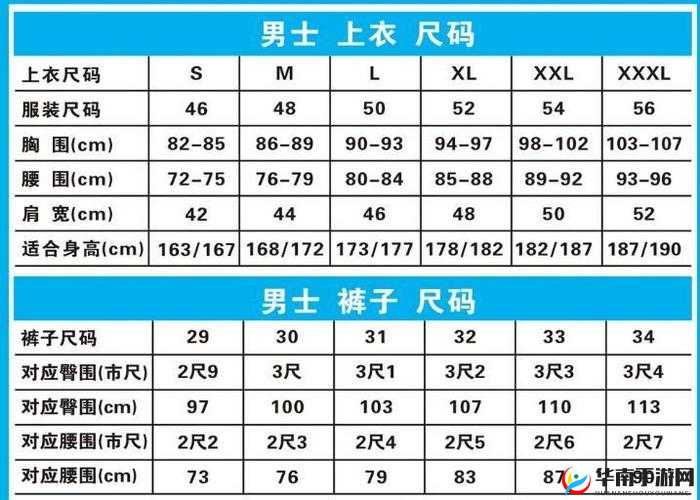 欧洲 XXW 大尺码：时尚新选择