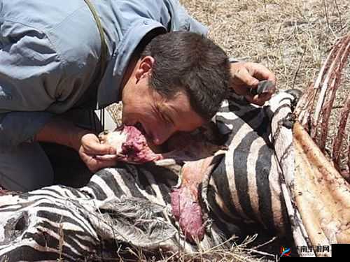 1214 性ㄨㄨㄨㄨ深喉：揭秘不为人知的背后故事