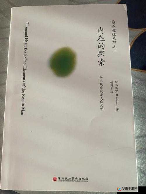 探索内在与自然的旅程：手从小腹一路开到丛林