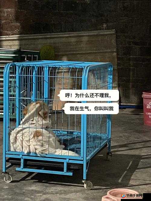 老牛嫩草一二三产品区别新作又出