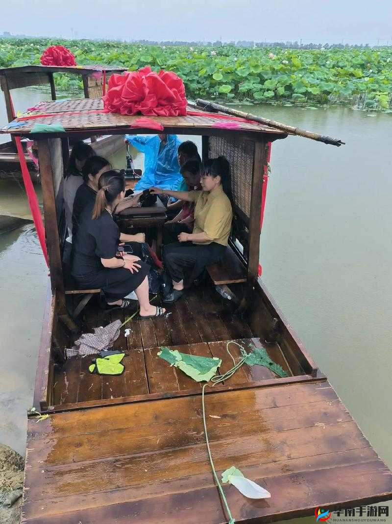 老人船上弄雨荷的故事情节如何展开：分析与探讨