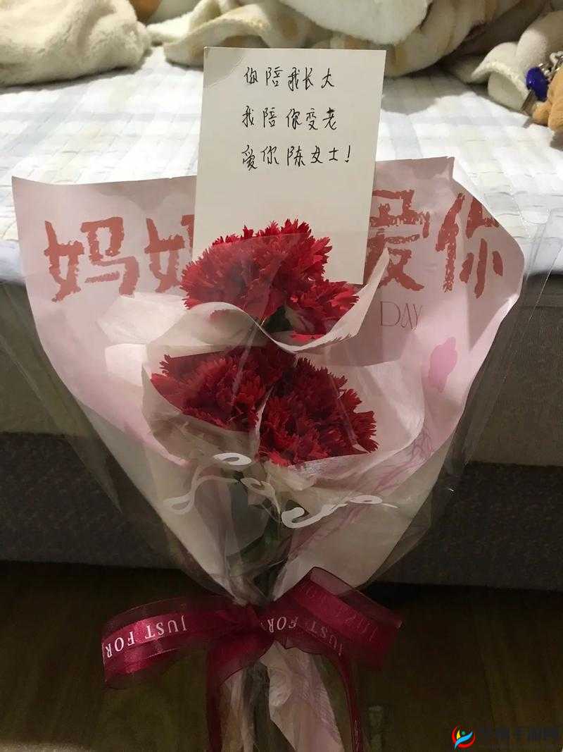 儿子的好朋友送给妈妈的礼物：一份温馨的情谊