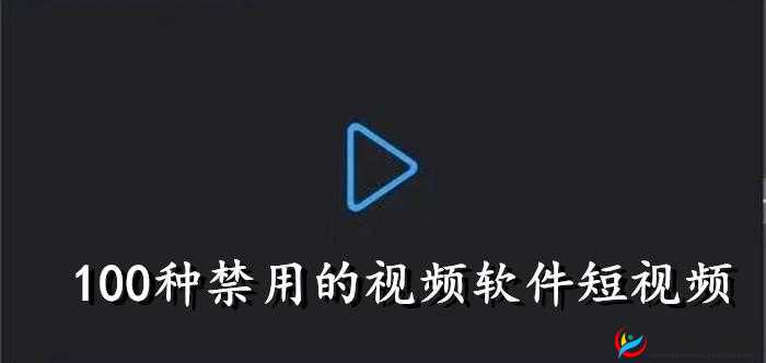 夜里 100 种禁用软件 APP：探索未知的禁区