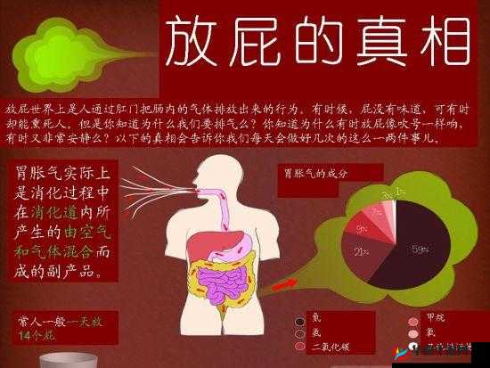 探秘 14MAY18-XXXXXL 放屁：背后的真相