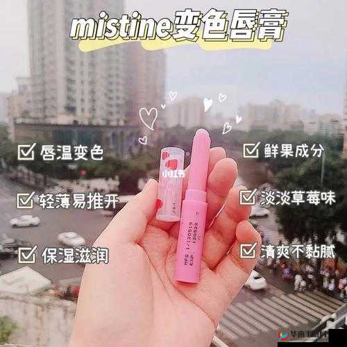 蜜丝婷大草莓与小草莓：差异何在？