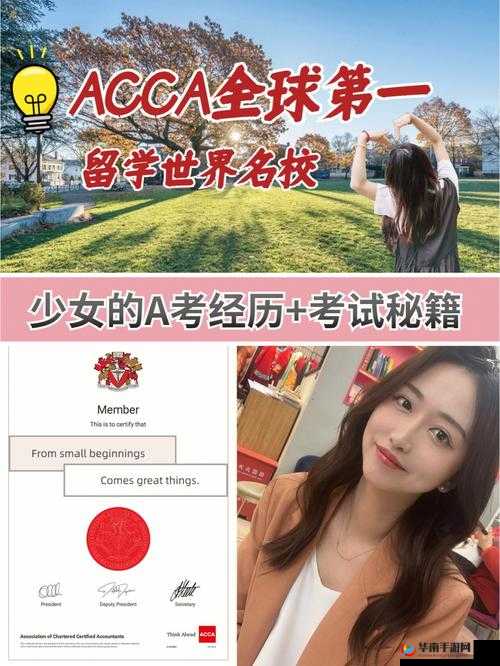 ACCA 少女 SDANVI：逐梦财会的青春之旅