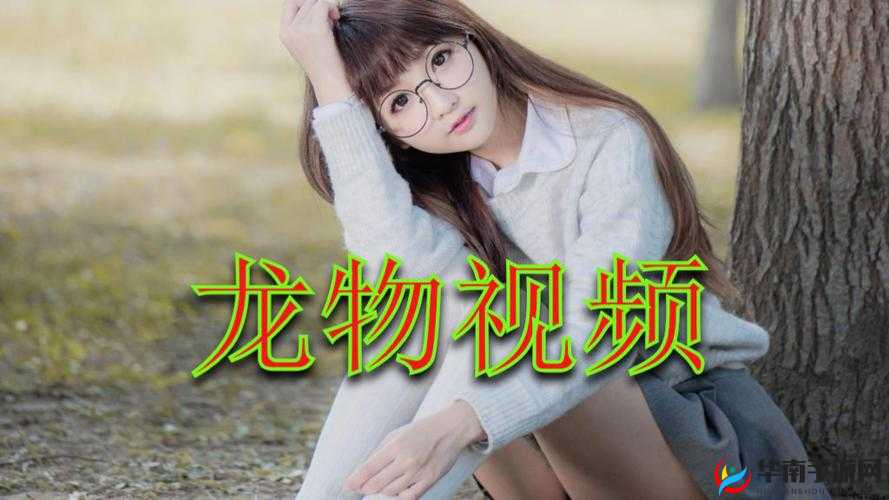 yw193 龙物永不失联- 激情体验，尽在其中