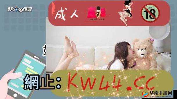 无人区码一码二码 W358CC：神秘代码的探索