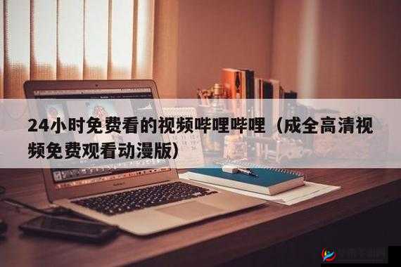 哔哩哔哩免费大全：畅享海量资源