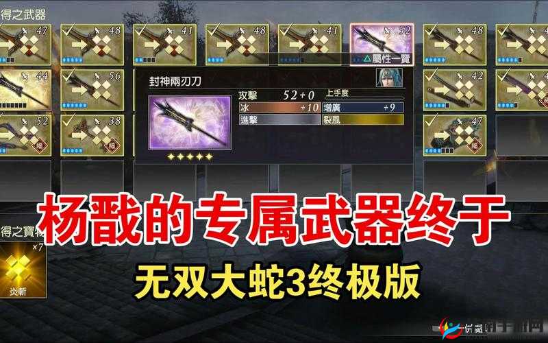 无双大蛇3特典武器获取攻略：详解特典武器的获得方法与使用技巧
