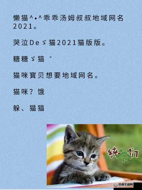 2021 猫咪最新地域网名相关内容