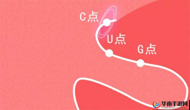 如何自 w 到高 c 详细图：让你轻松掌握技巧