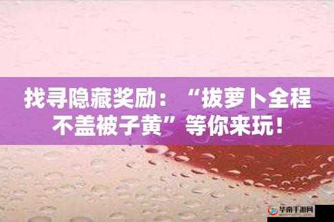 拔萝卜：全程不盖被子的趣味体验
