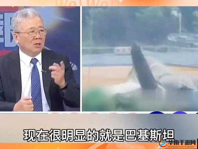 生猴子不盖被子视频：趣味呈现