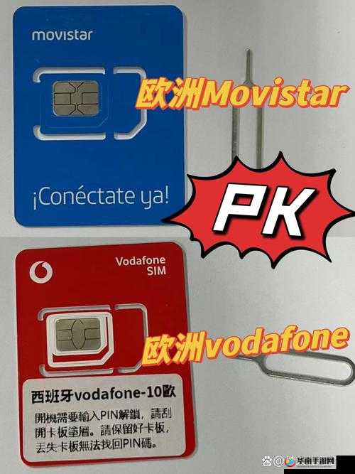 欧洲 vodafoneWifi 狗：畅享高速无线网络体验