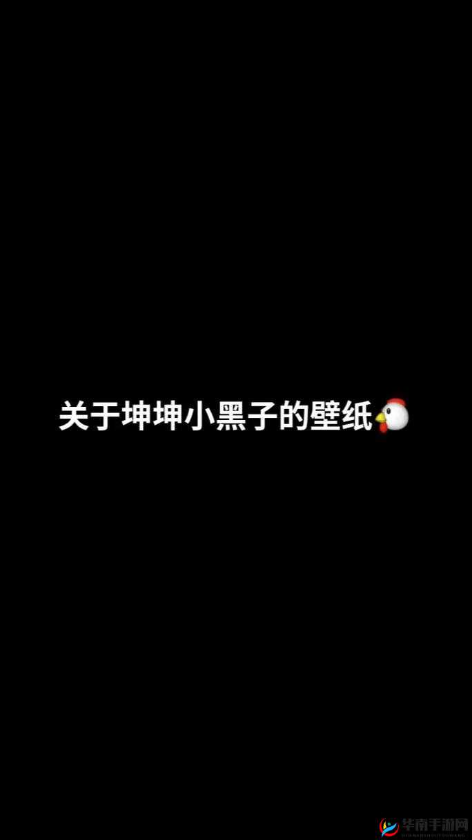 坤坤寒进括号里嗟嗟：独特表达