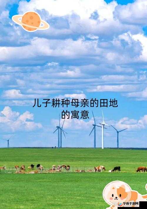 儿子耕种母亲的田地叫什么名字：解析与探讨