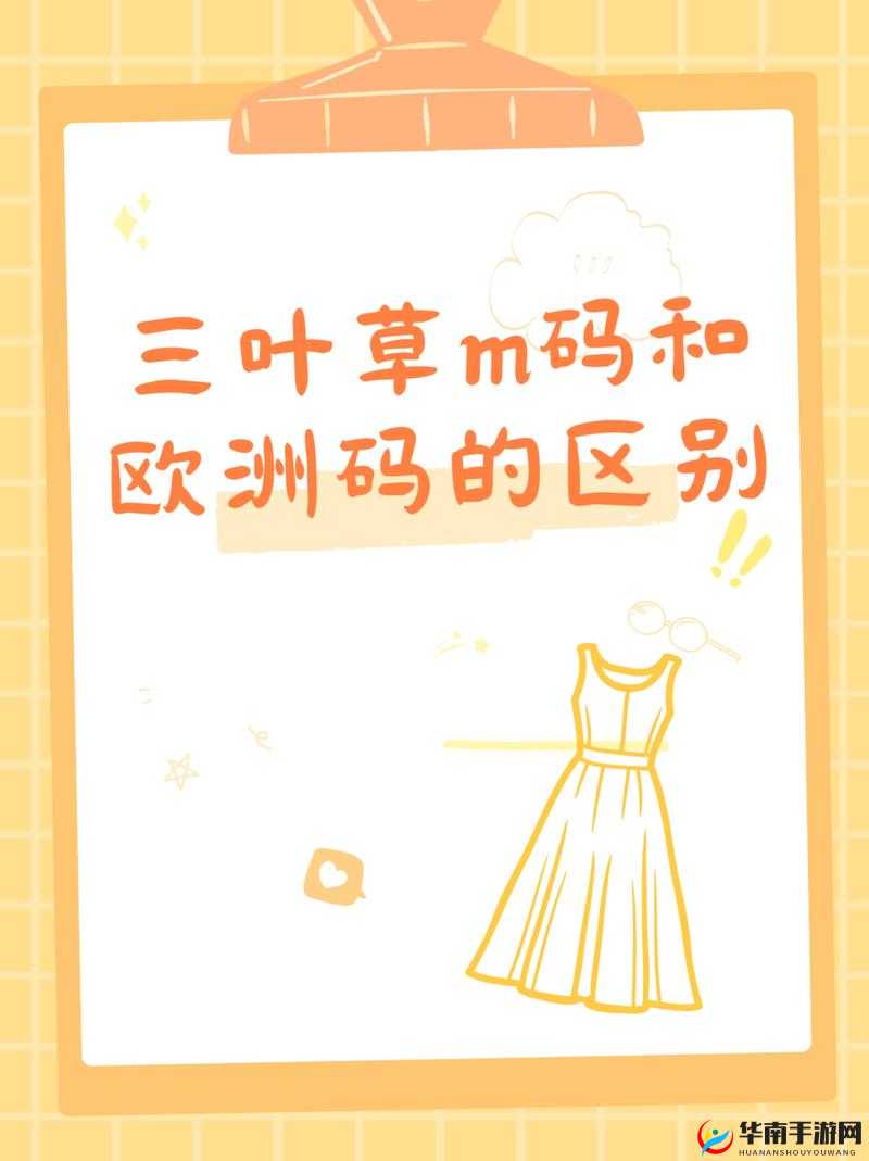 三叶草M码与欧洲码的详细区别解析：全面解读