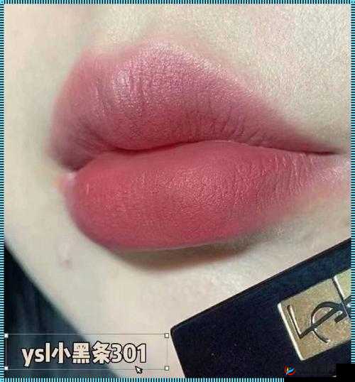 ysl 口红水蜜桃色号 6004-让你美丽加倍