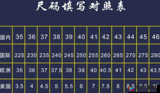 一码二码和欧洲尺码：深度解析与对比