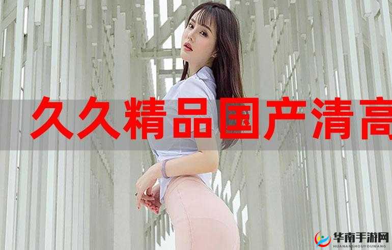 1313 国产午夜精品理论片：探索性与艺术的边界