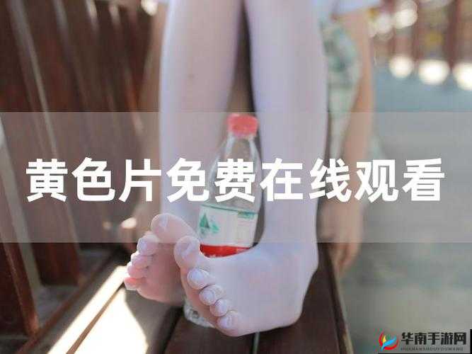 三年片在线观看大全国语：畅享精彩大片资源