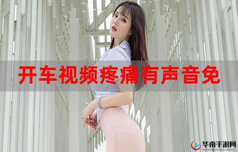 开车视频疼痛有声音免费软件且不用下载