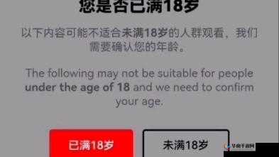 adc 满十八岁年龄确认：一起见证成长的重要时刻