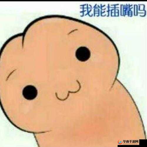 我可以插嘴吗无：这是个问题