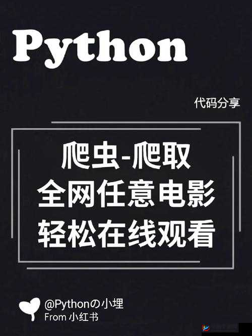 python 在线观看入口：便捷学习通道