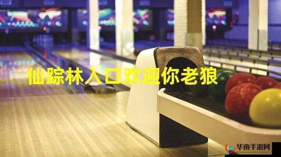 仙踪林网站欢迎您免费进入林：探寻神秘仙境的入口