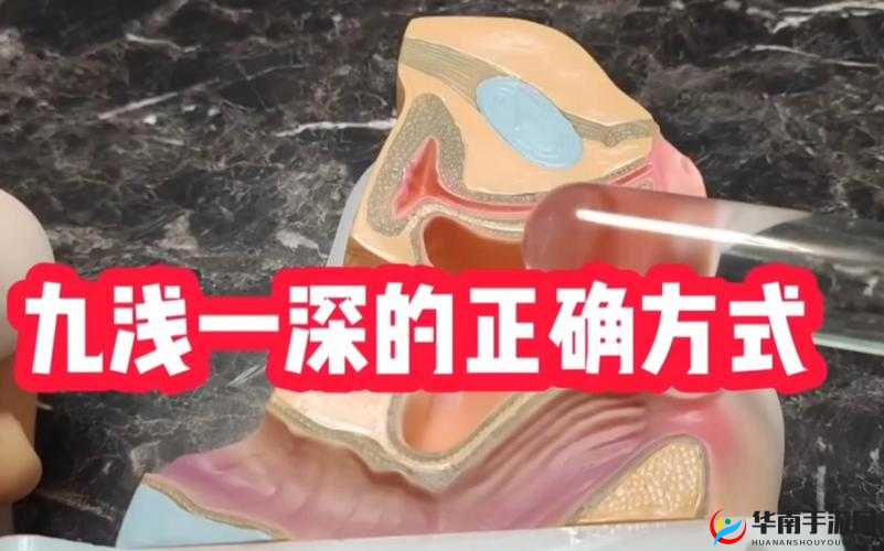 九浅一深和左三右三如何搭配：提升性体验的技巧