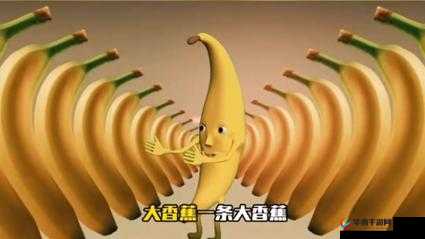香蕉爱视频：带你领略丰富多彩的精彩影像世界