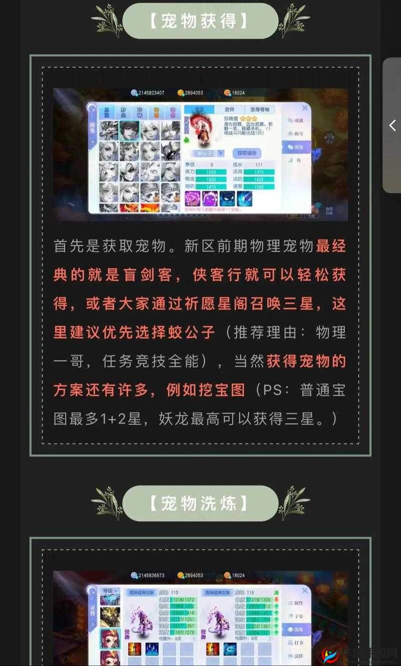 桃花源记手游，九儿同伴技能全面解析与深度探讨