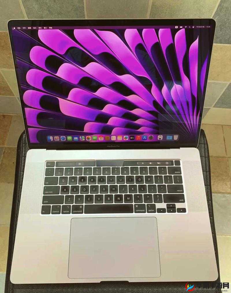 16 岁日本学生使用的 MacBook Pro 引发的思考