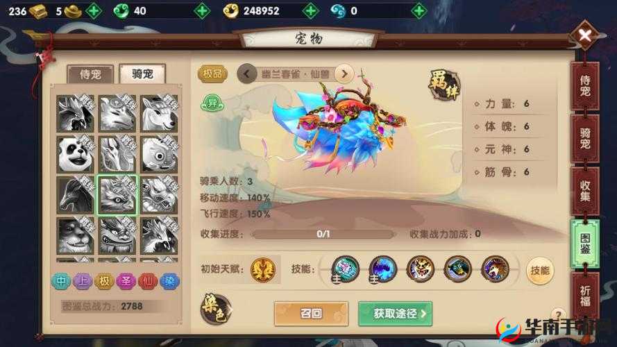 寻仙手游骑宠技能搭配全攻略，打造最强战斗伙伴的必备方案推荐