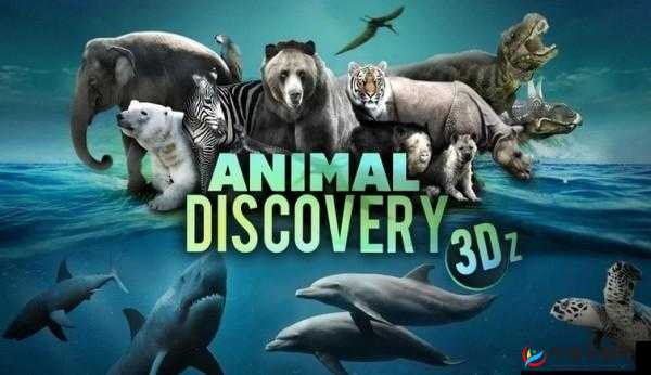 美国ZOOM 动物 3D：探索神奇动物世界的独特视角
