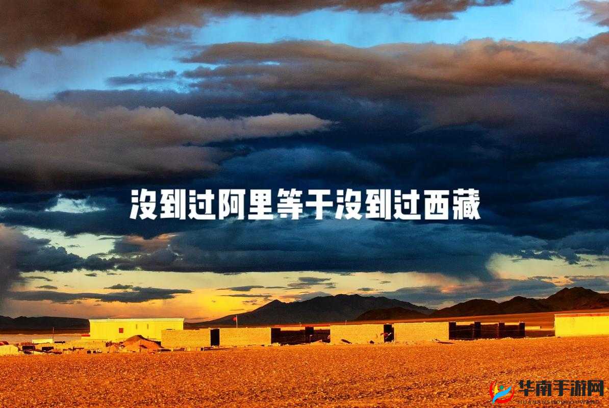 精彩无人区一码二码三码四码：探索其中的奥秘与独特魅力
