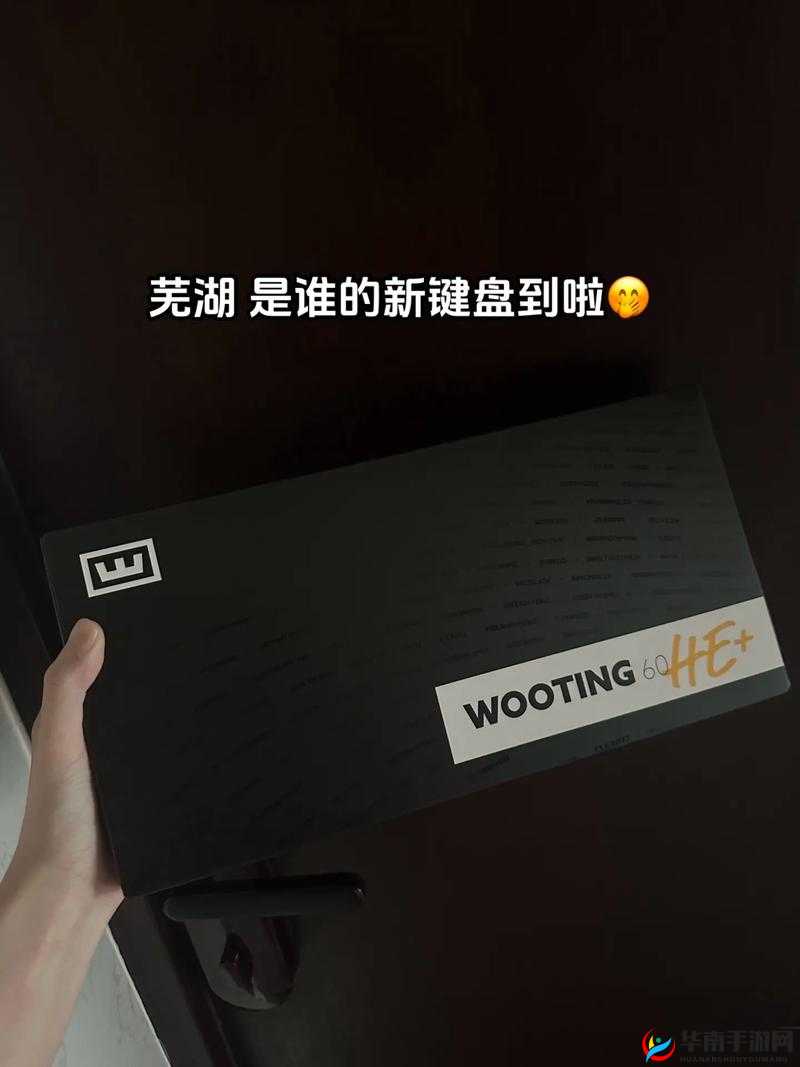 暴躁少女CSGO韩国：游戏战场的激情与挑战之旅