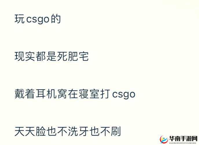 暴躁老阿姨 CSGO 最新版本更新内容与流程分析全解读