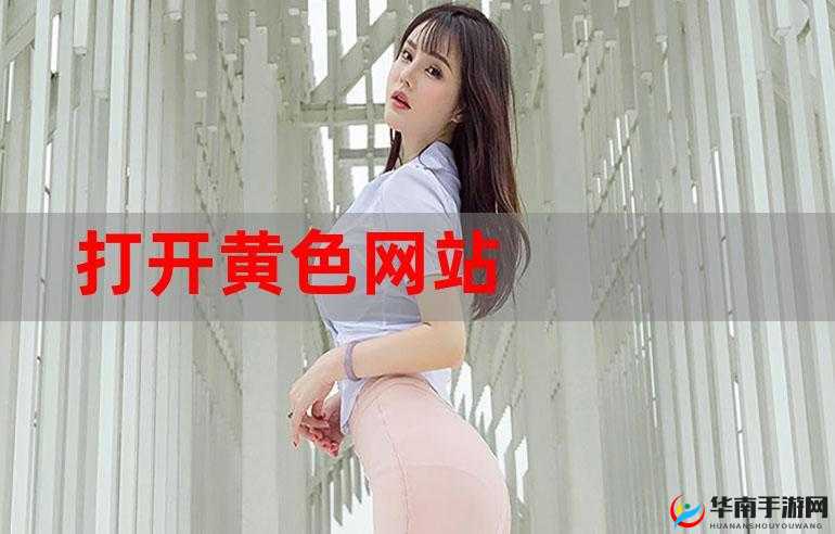 关于黄频软件引发的一系列相关探讨