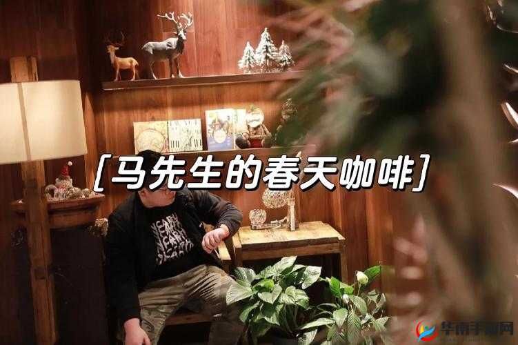 老马的春天田敏杰系列：一段温暖感人且充满希望的故事之旅