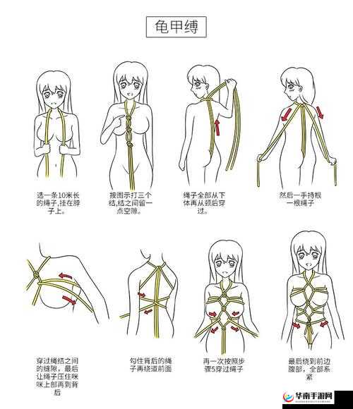 亚洲成人色图社区论坛：激情无限的成人世界