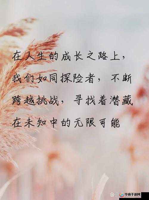 三个人一起玩 3Q 会怎么样：探索其中的无限可能与未知结局
