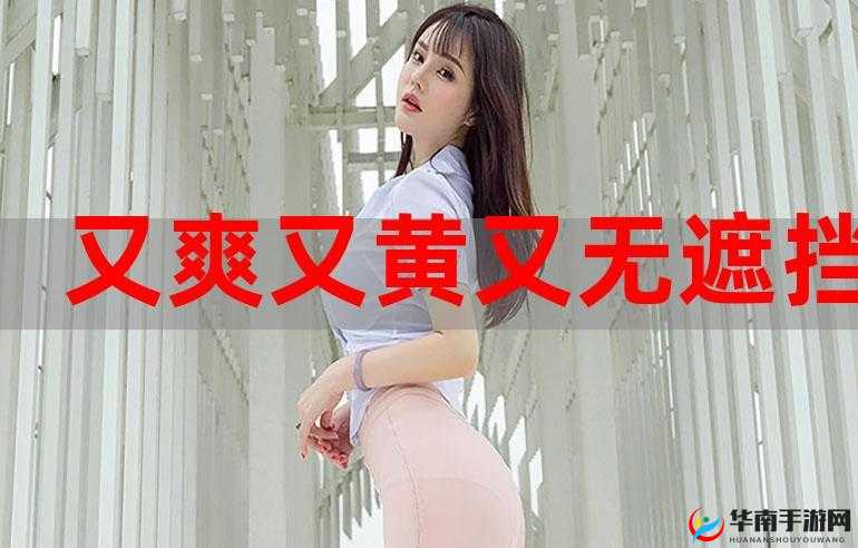 黄视频亚洲相关内容的探讨与分析