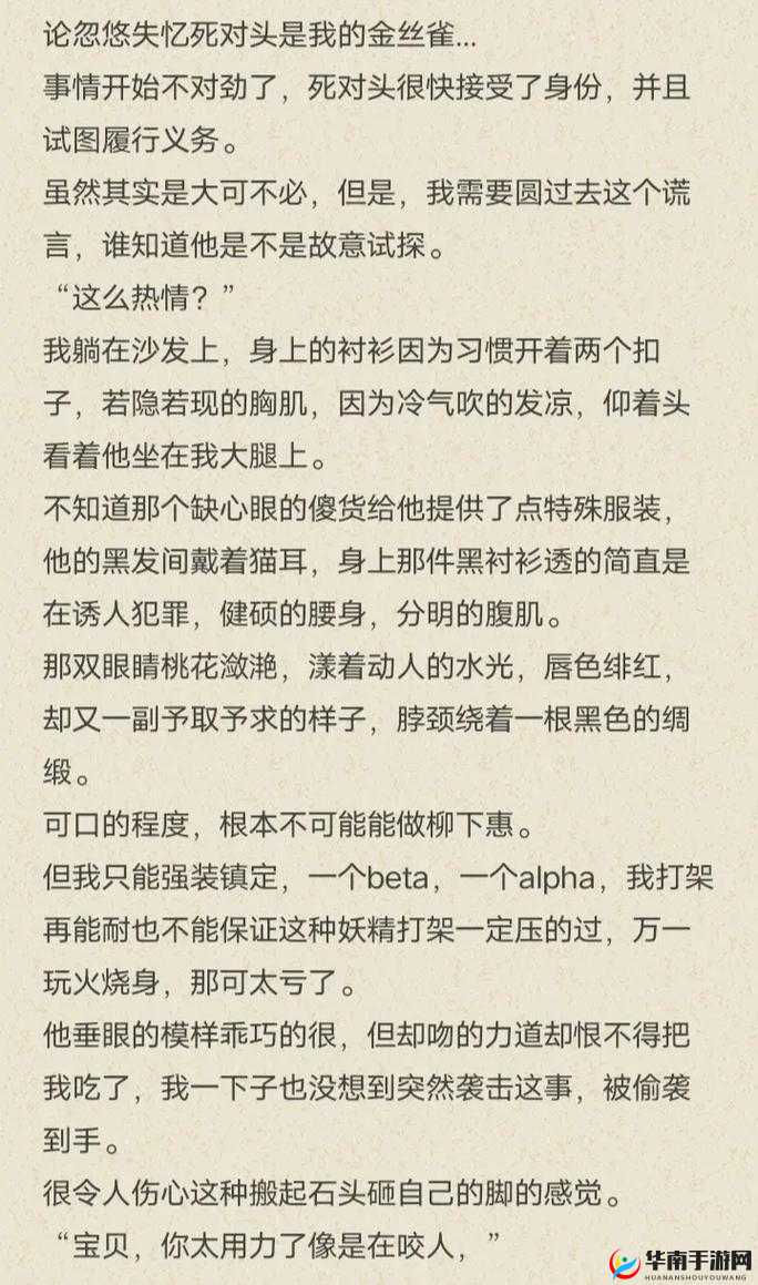 车速超快的双男主：风驰电掣中书写传奇冒险篇章